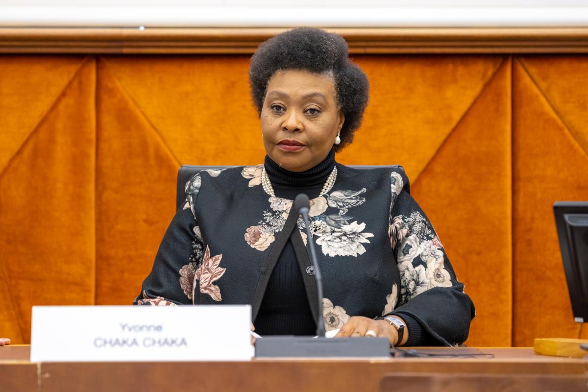 Yvonne Chaka Chaka at WIPO