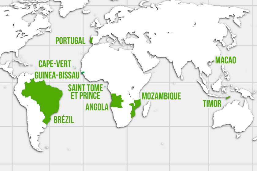 Lusophone Project header Lusophone Project header