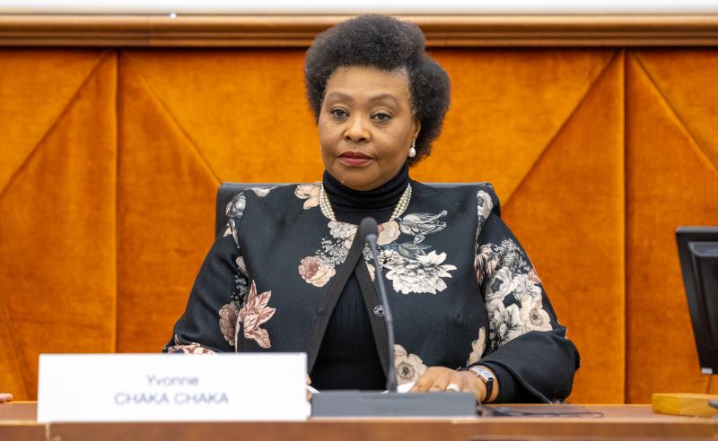 Yvonne Chaka Chaka at WIPO